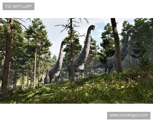 三亿体育平台优惠活动与福利政策：获取更多奖励的实用技巧分享