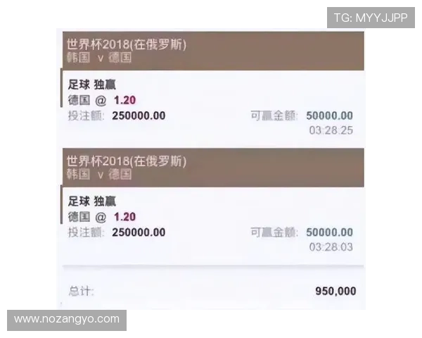 关注世界杯投注安全，十大买球平台为你提供最专业的投注服务指南